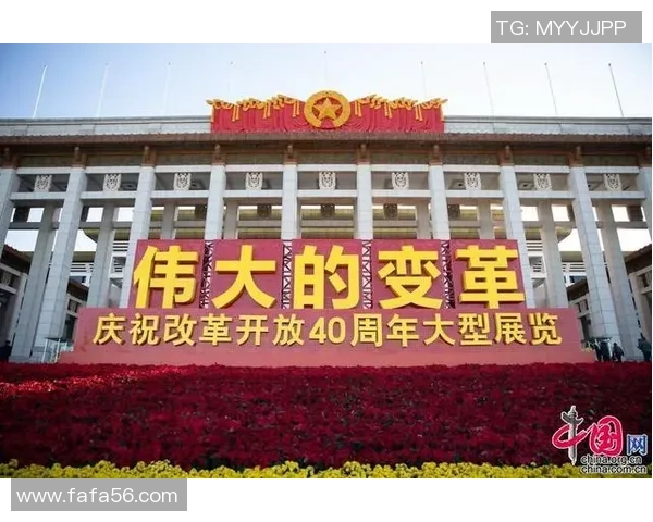 深圳排球队的转型之路：深度解析排球运动的变革与发展