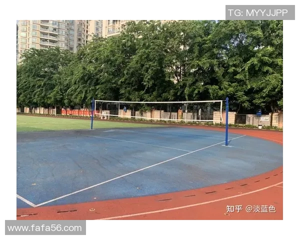 深圳排球队比赛经验分析与提升策略探讨